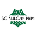 VULCAN PRIM SRL